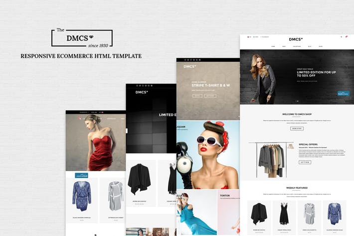 The DMCS - Ecommerce HTML Responsive Template