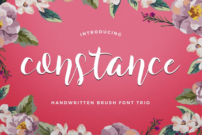 Constance Brush Font Trio