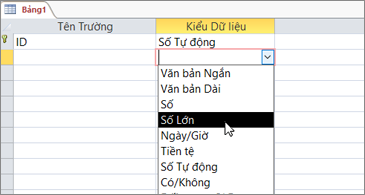 Danh sách kiểu dữ liệu với Số lớn được tô sáng